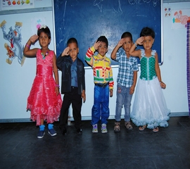 minerva public school