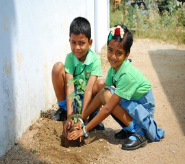 minerva environmental club