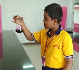 Minerva Little Scientist